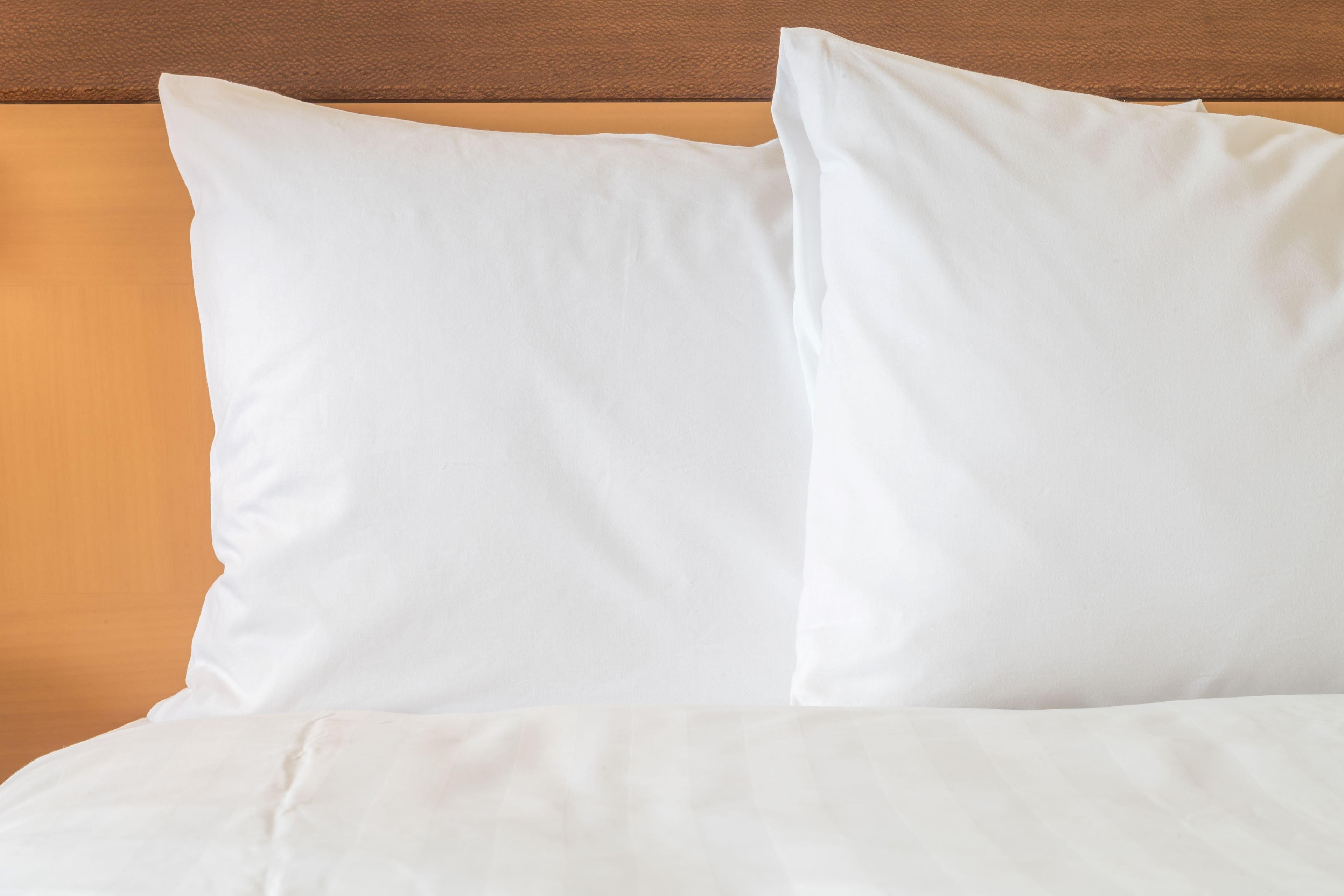 Ana Crowne Plaza Yonago By Ihg Hotel Luaran gambar